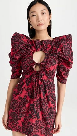 Best reviews of ???? Philosophy Di Lorenzo Serafini Puff Sleeve Floral Mini ???? Dress Fantasy Print Red ????