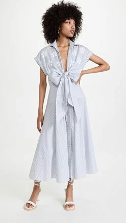 Budget ???? Silvia Tcherassi Manny ???? Dress Grey Sequin Pinstripe ⌛